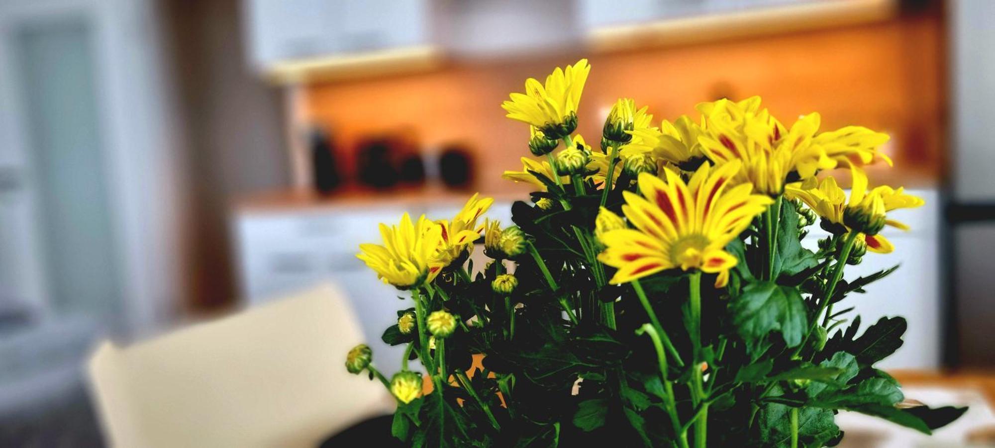 Apartment Hannover - Langenhagen Center Екстериор снимка
