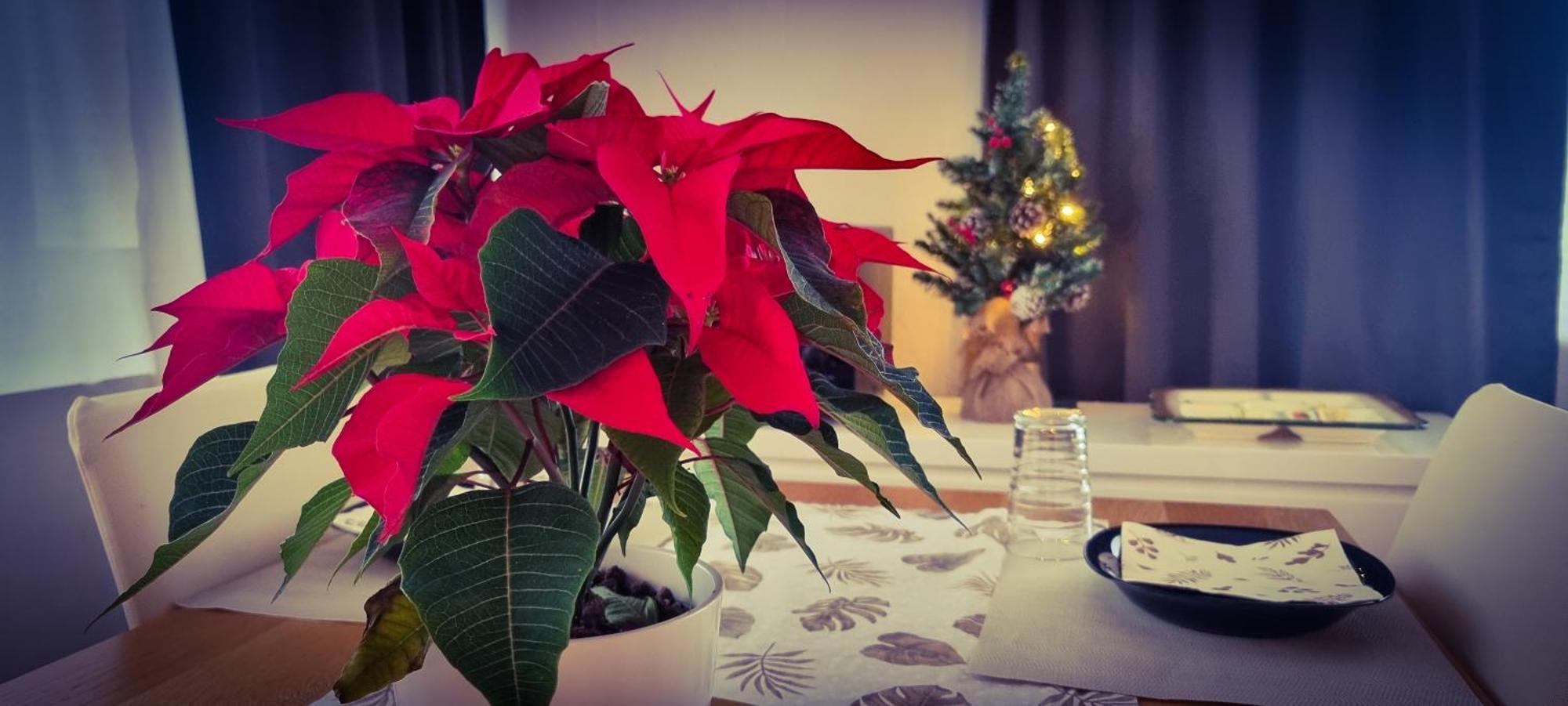 Apartment Hannover - Langenhagen Center Екстериор снимка